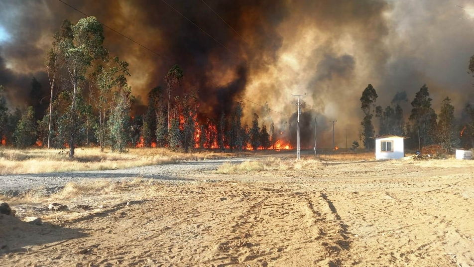Bomberos de la Araucanía luchan sin descanso contra los incendios forestales
